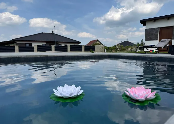 By The Pool & Garden *